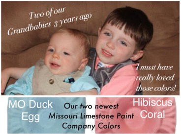 moduckeggandhibiscuscoral