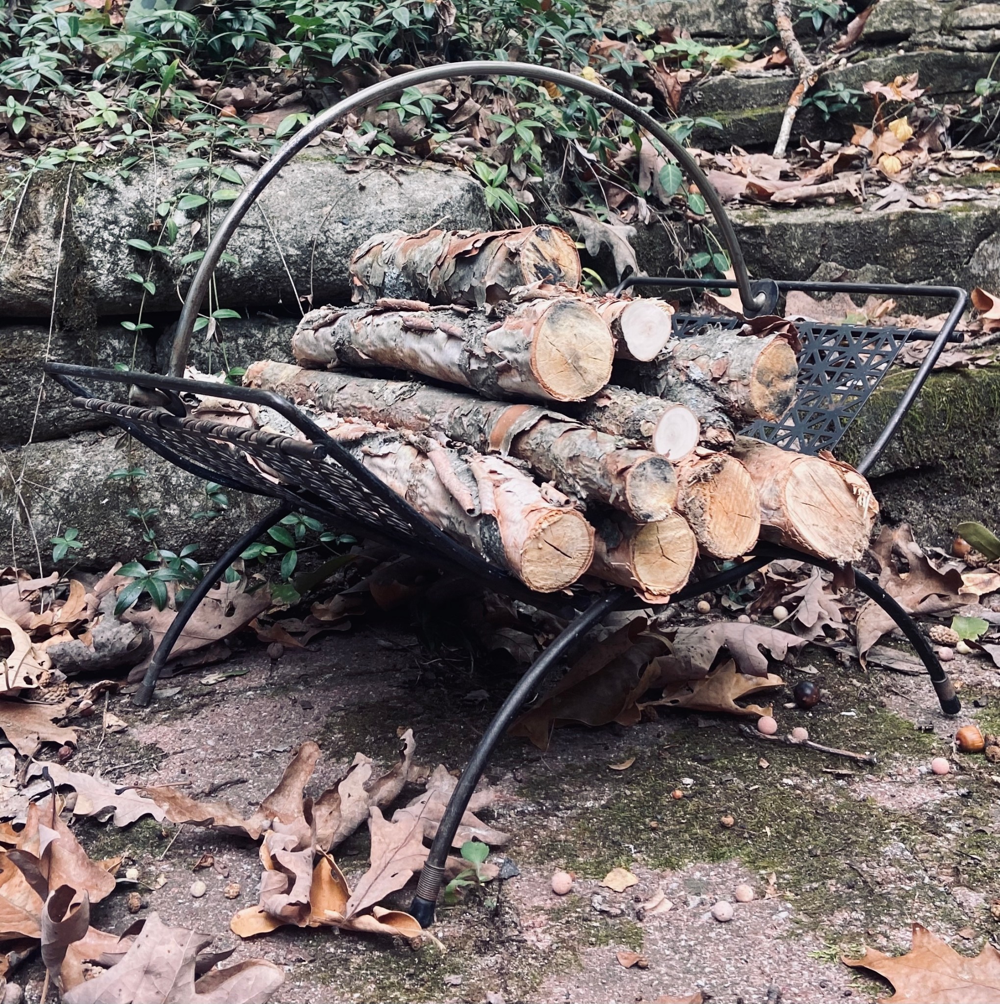 Birch Tree Risers and Logs | SharSum Paint