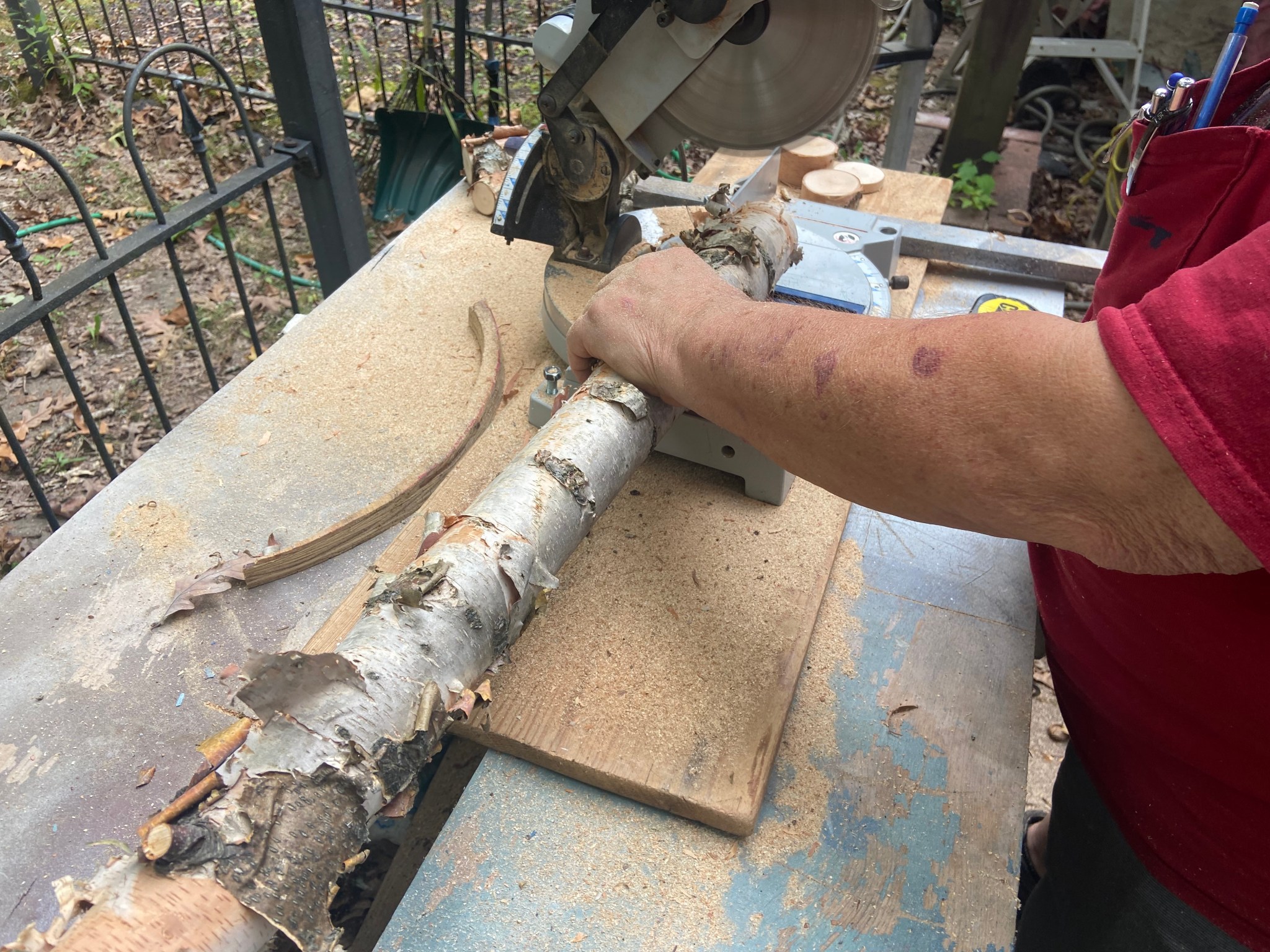 Birch Tree Risers and Logs | SharSum Paint